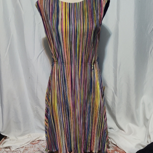 Dkny Dresses & Skirts - DKNY Colorful Striped Knee Length Dress Missing Belt Size 10